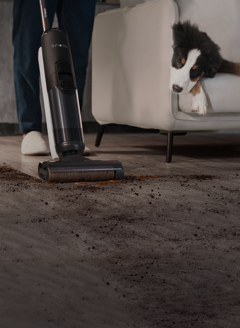 Tineco Floor ONE S5 PRO 2 Cordless Wet Dry Vacuum – Sir Pounce's Emporium