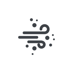 B. Dust, fine dirt, or allergens